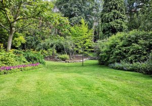 Optimiser l'expérience du jardin à Cornay